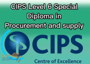 Chartered Institute Of Procurement &Amp; Supply (Cips) Level 6