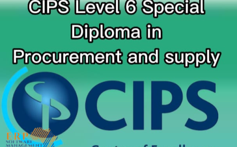 Chartered Institute of Procurement & Supply (CIPS) Level 6