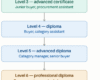 Certification levels in procurement hierarchy